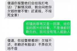 林芝林芝的要账公司在催收过程中的策略和技巧有哪些？